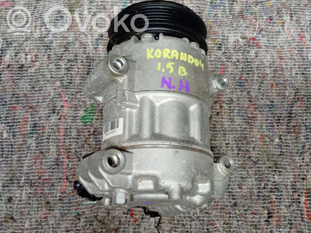 Compressore aria condizionata (A/C) (pompa)   6000275,1731313711,244230047