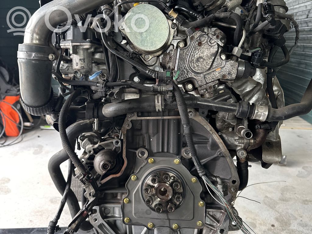 Engine   8201651043,04050033