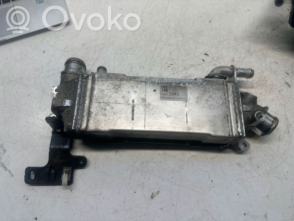Opel Astra K EGR valve cooler 