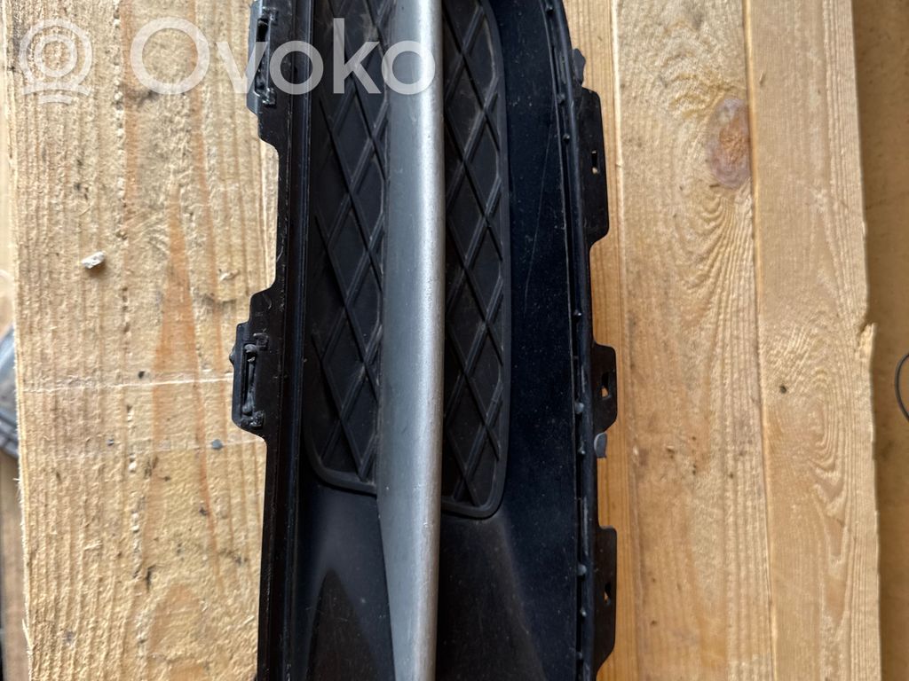 Front grill   7159595