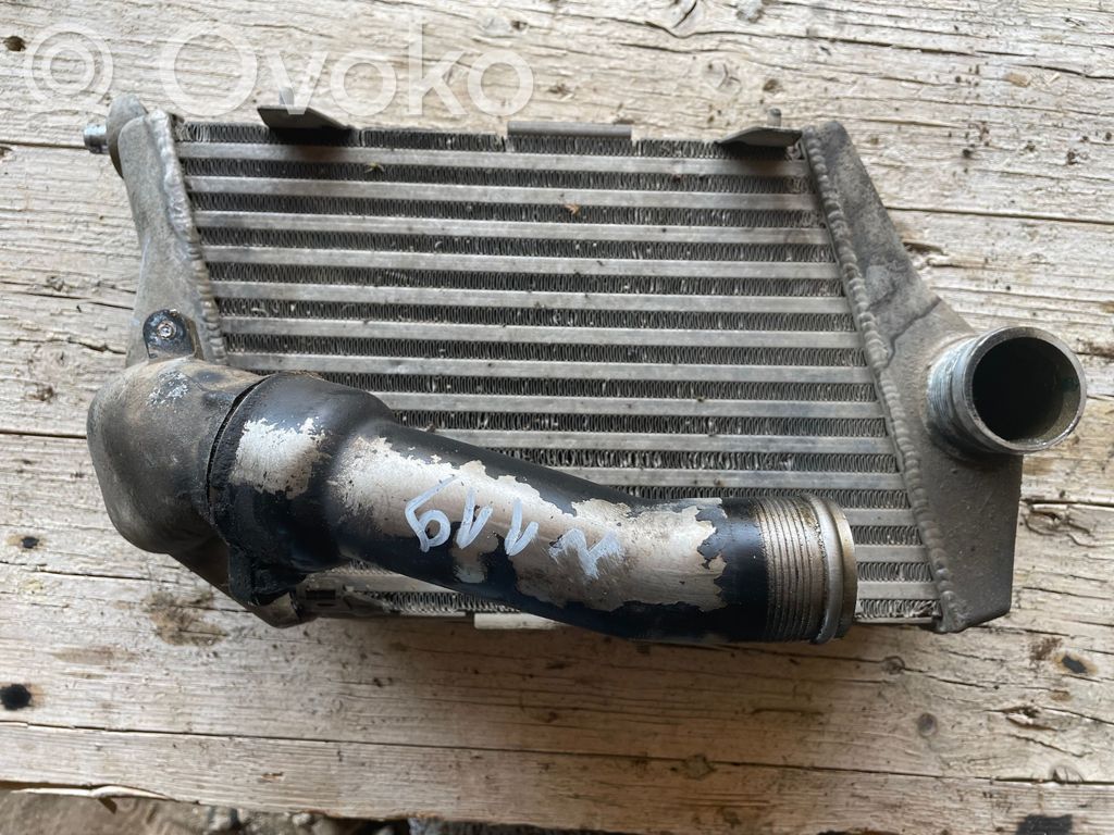 Audi A8 S8 D3 4E Interkūlerio radiatorius 