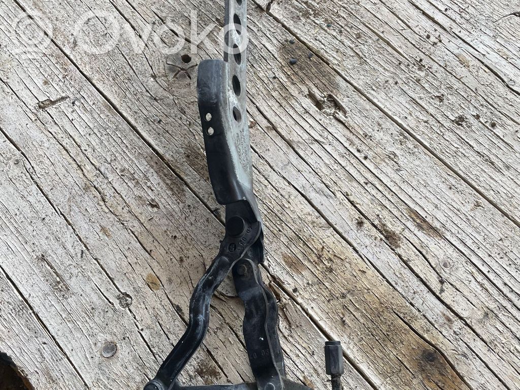Audi A8 S8 D3 4E Engine bonnet/hood hinges 