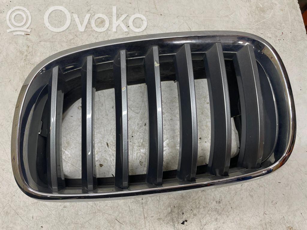 BMW X5 E70 Front bumper upper radiator grill 