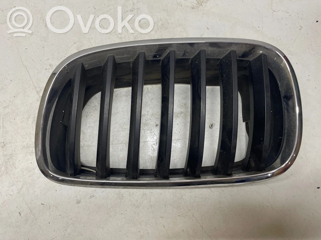 BMW X5 E70 Front bumper upper radiator grill 