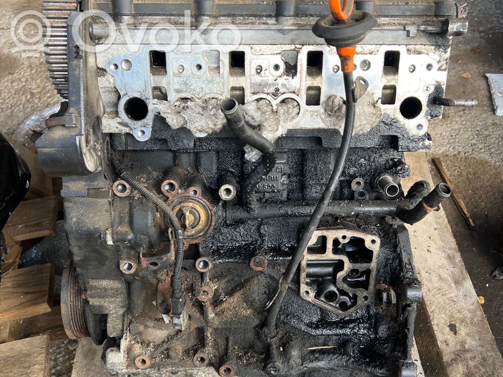 Volkswagen Touran I Variklis 