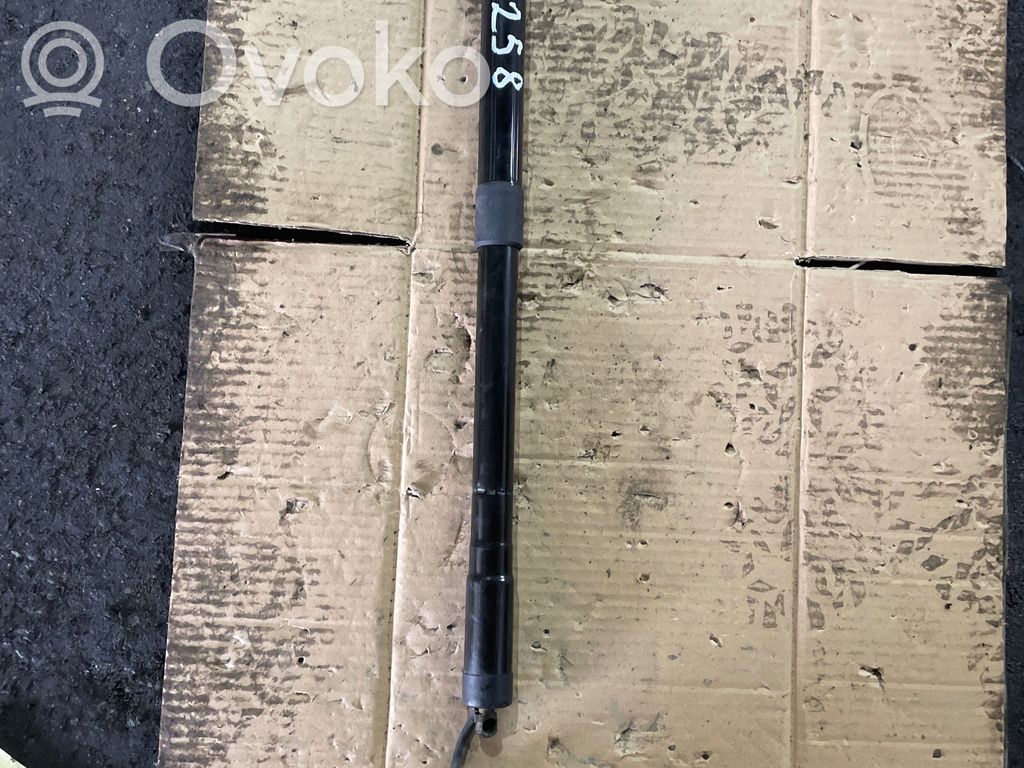 Land Rover Range Rover Sport L494 Amortizor hayon 