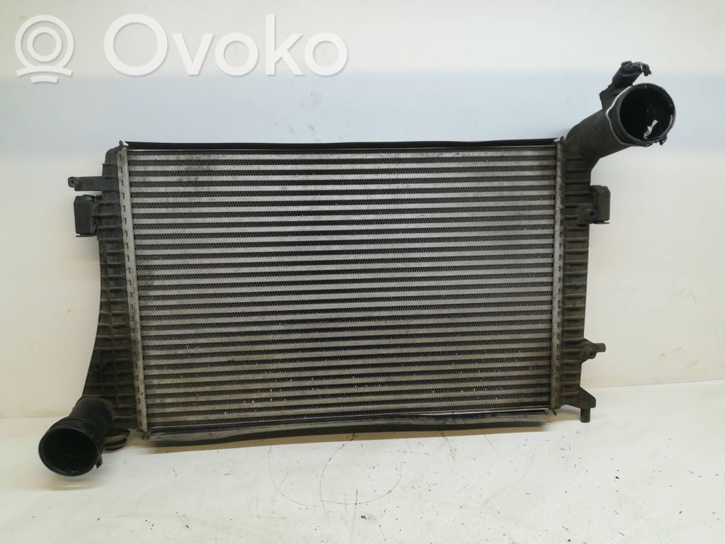Volkswagen PASSAT B6 Interkūlerio radiatorius 