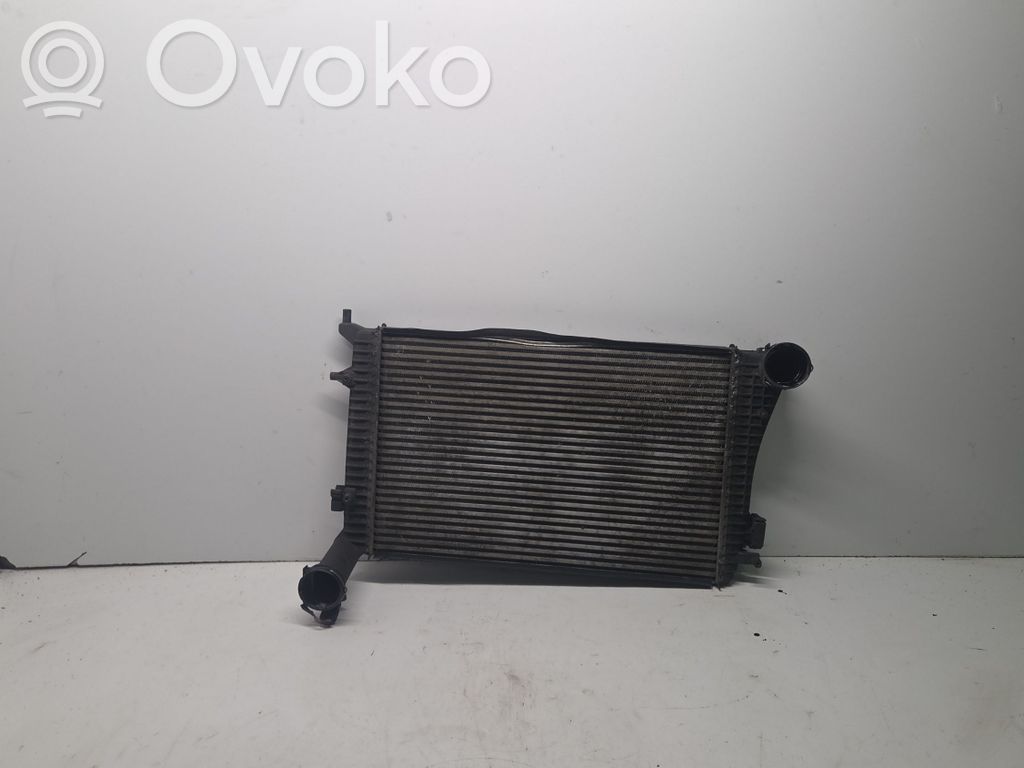 Volkswagen PASSAT B6 Interkūlerio radiatorius 