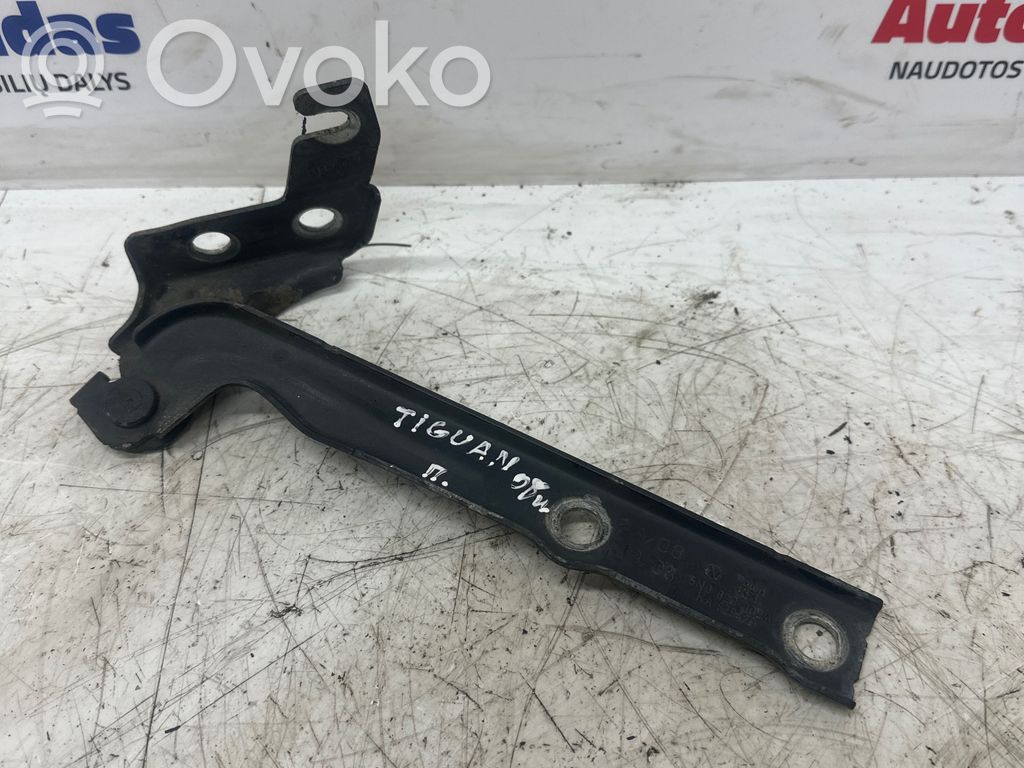 Volkswagen Tiguan Balamale capotă 