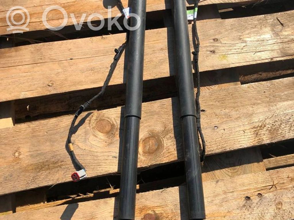 Tailgate strut   LV4BS402A55