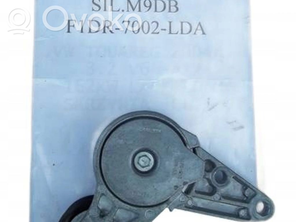 Napinacz paska alternatora   F1DR7002LDA