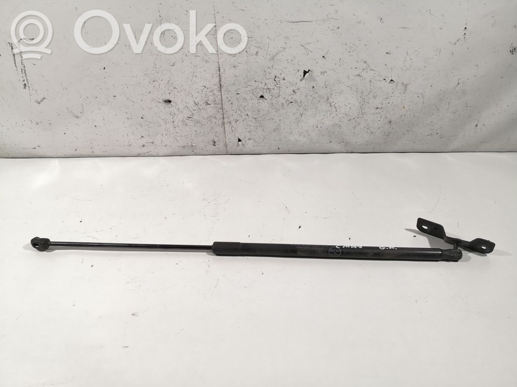Ford C-MAX II Tailgate/trunk strut/damper 