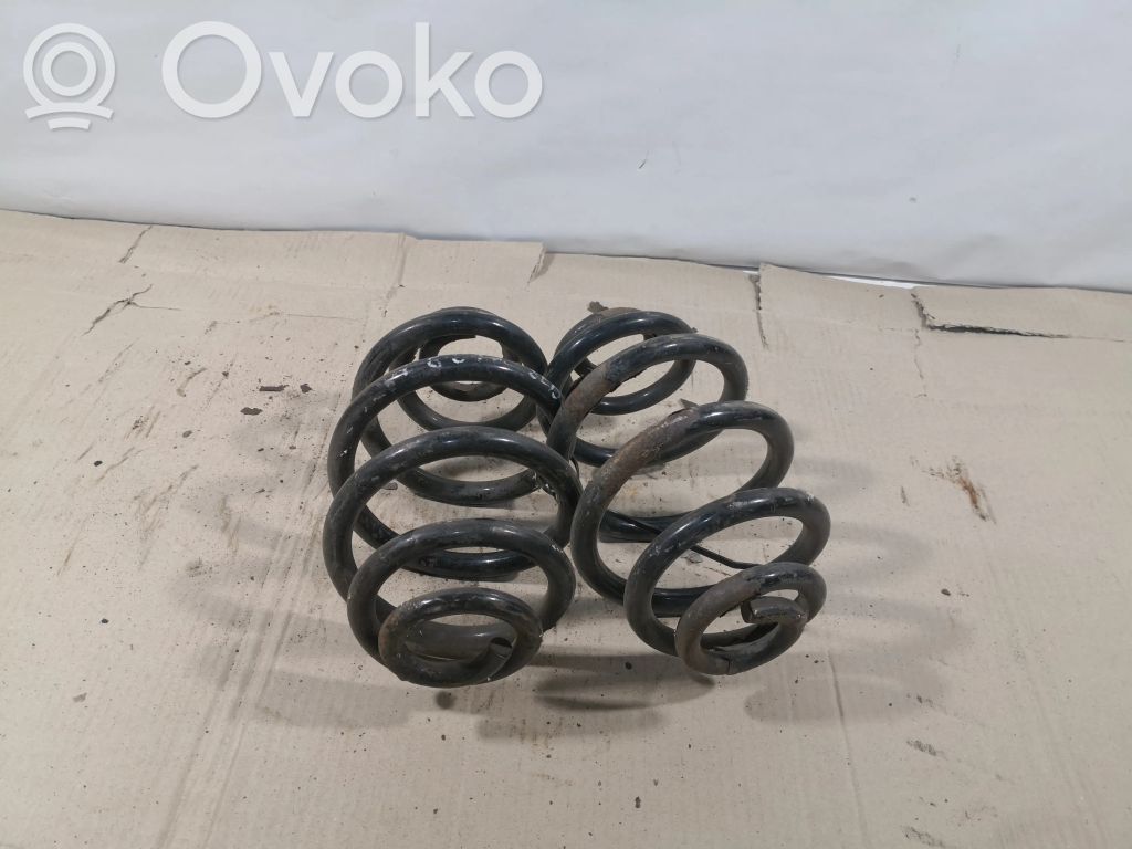 Rear coil spring