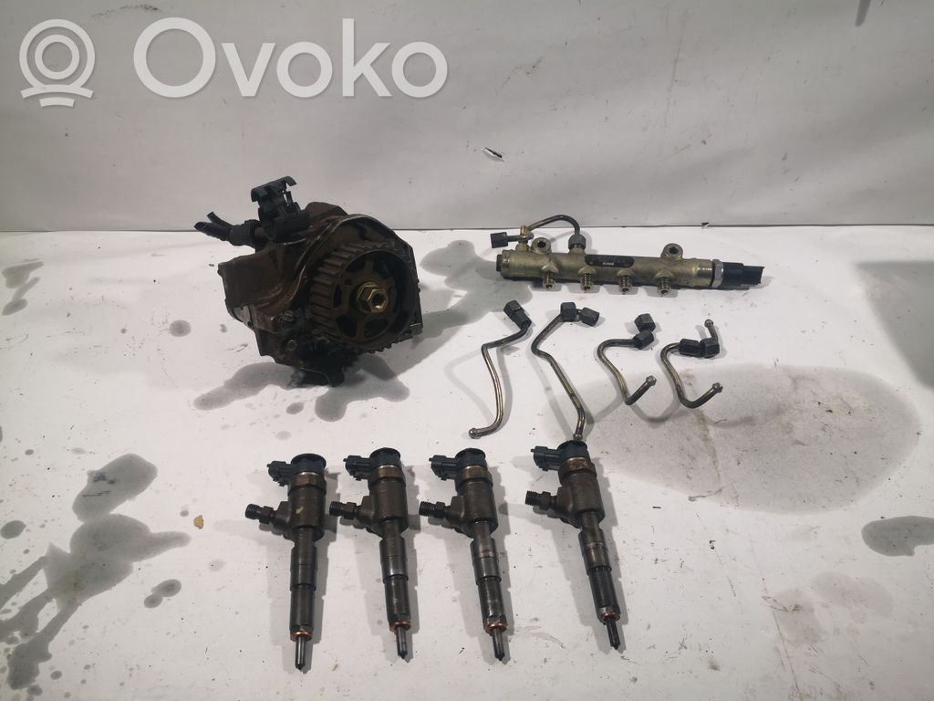Fuel injection system set   0445214028,9641509480,0445110075,0445010042,100406187015,9637317380,9641496180,9642292080