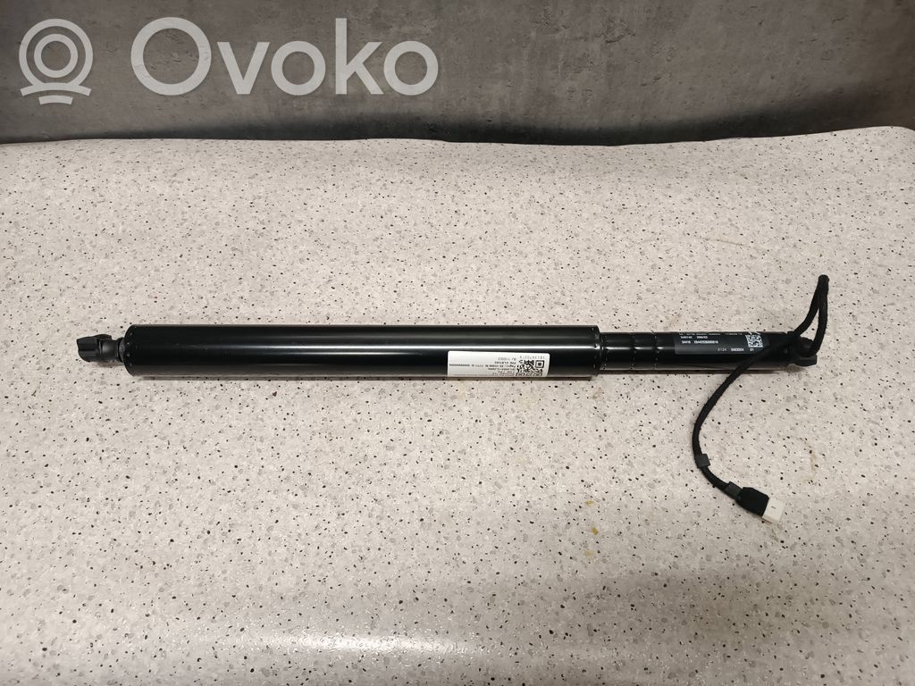 Tailgate/trunk strut/damper   5A635D4