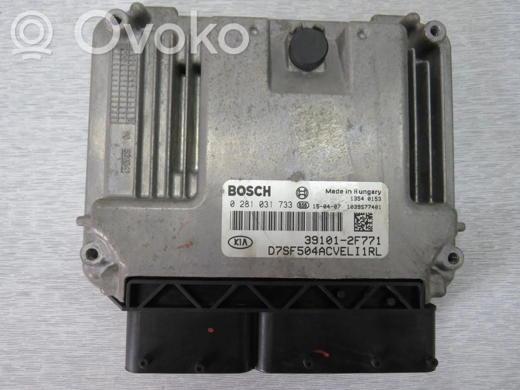 Engine control unit/module ECU   391012F771