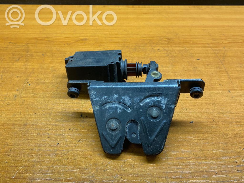 Spyna galinio dangčio   51248236897