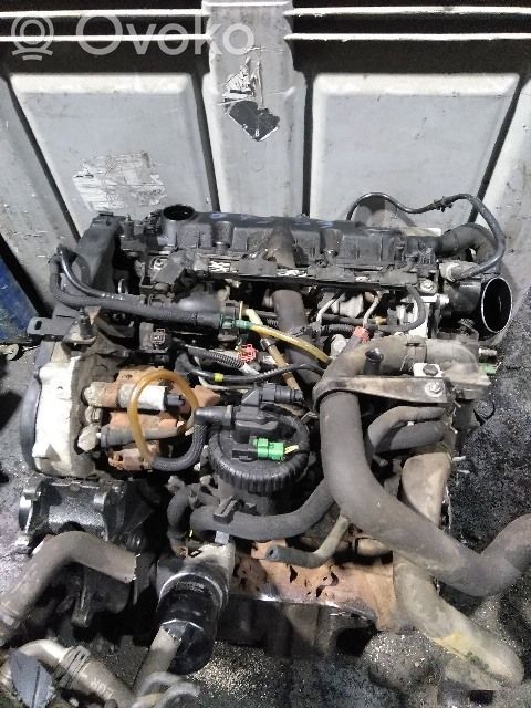 Variklis   135FE,135FE,135FE