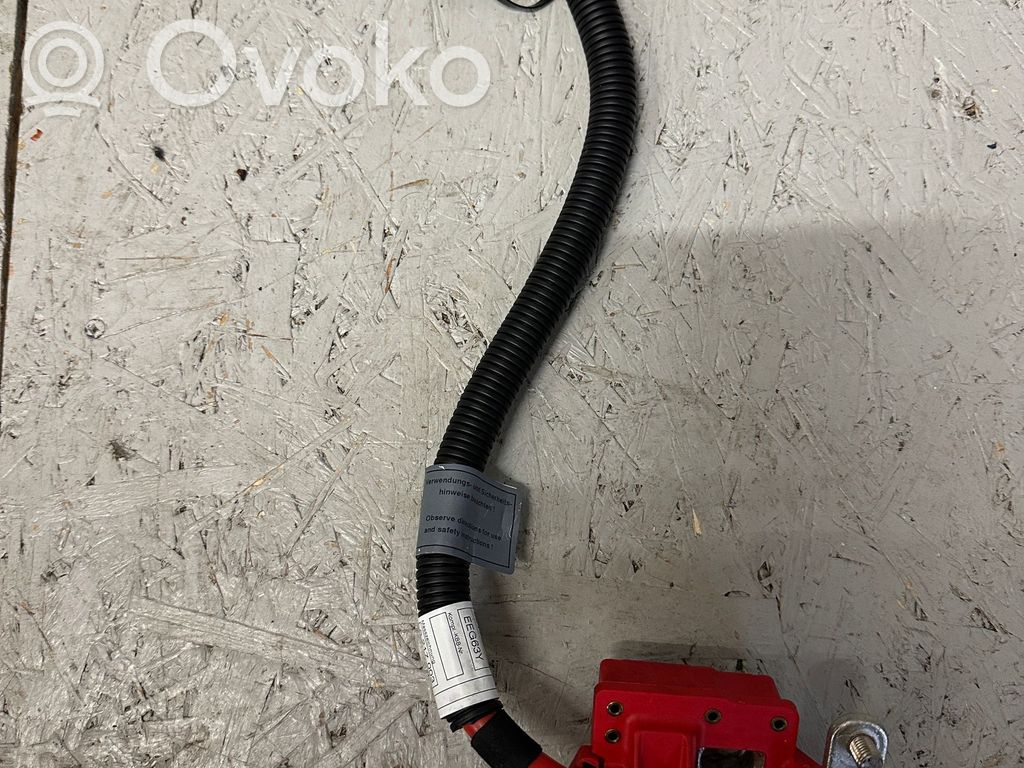BMW X6 E71 Positive cable (battery) 