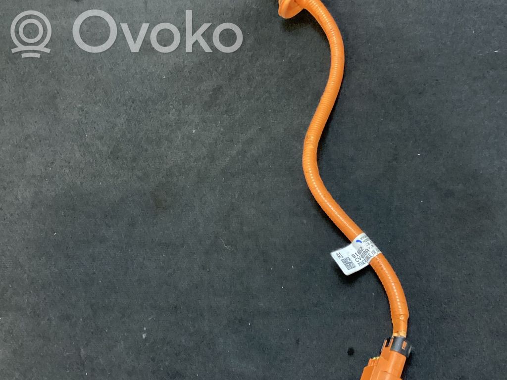 KIA EV6 Otros cableados 