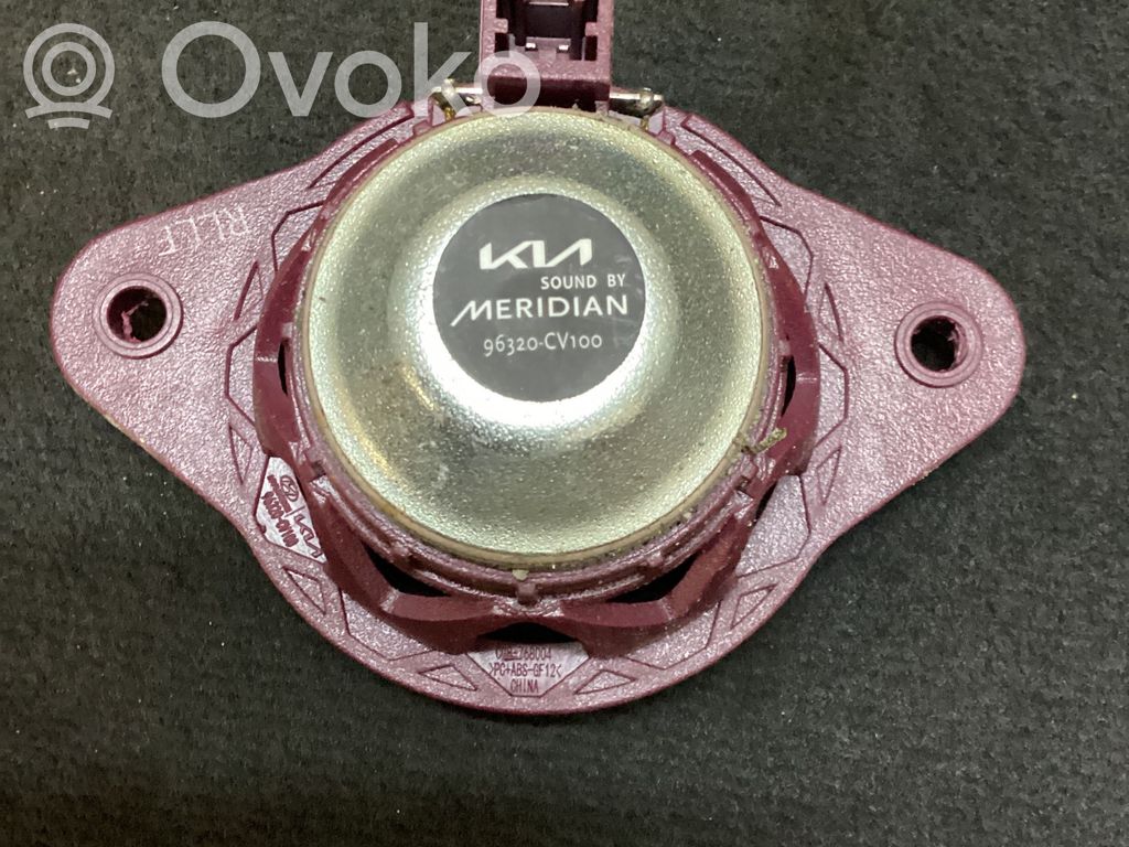 KIA EV6 Panel speaker 