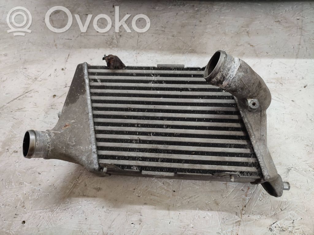 Audi A8 S8 D3 4E Interkūlerio radiatorius 