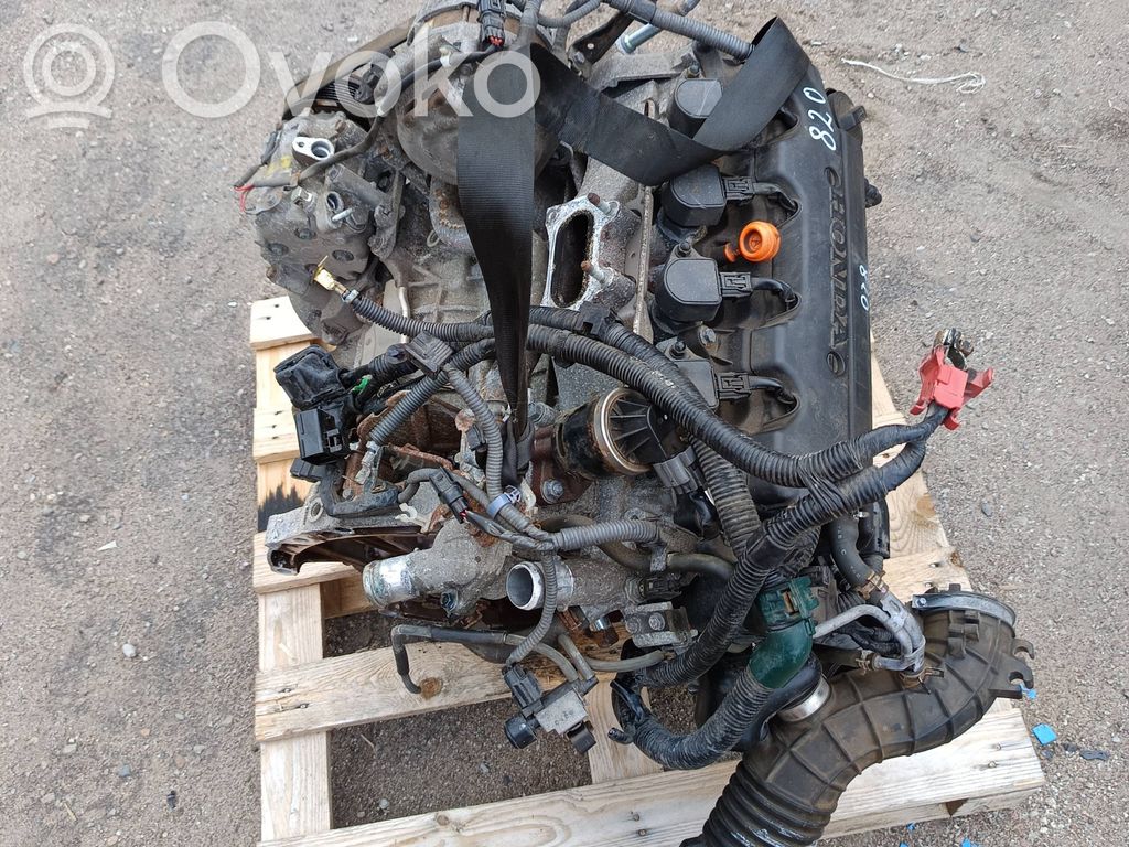 Honda Accord Engine 