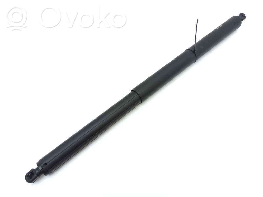 Tailgate strut   81841CV100