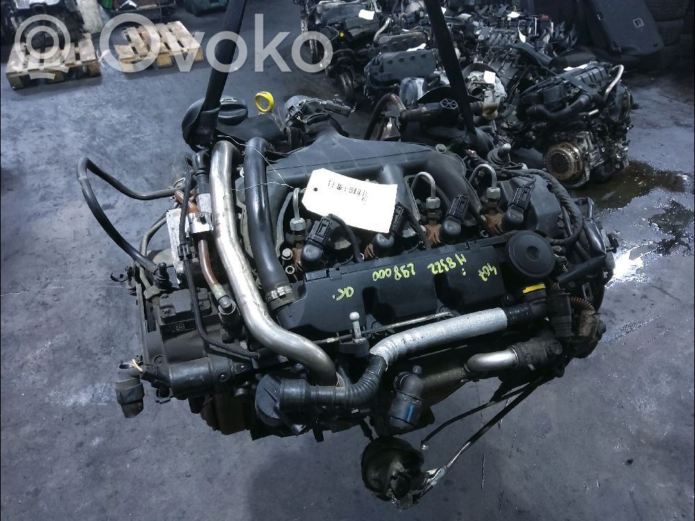 Peugeot 407 Variklis 