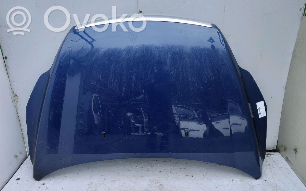 Motorhaube