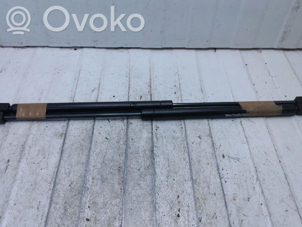 Tailgate/trunk strut/damper