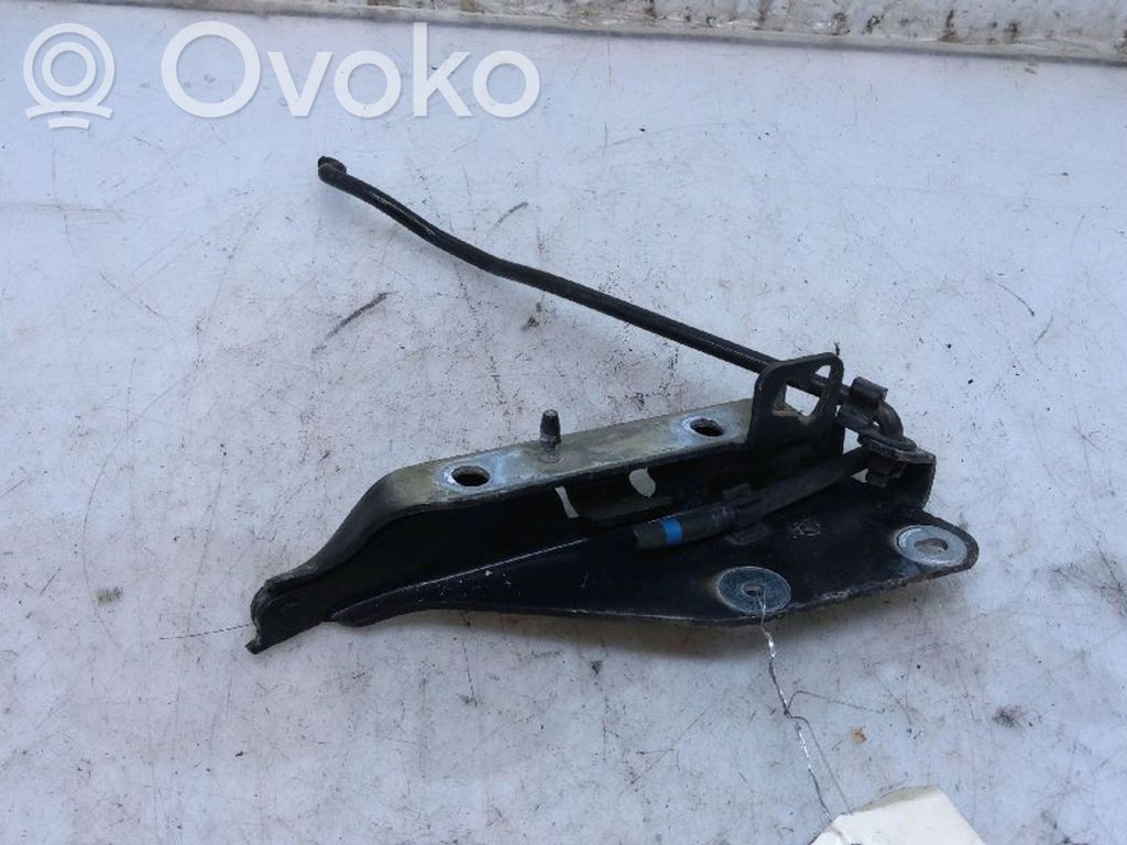 Citroen C3 Pluriel Engine bonnet/hood hinges 