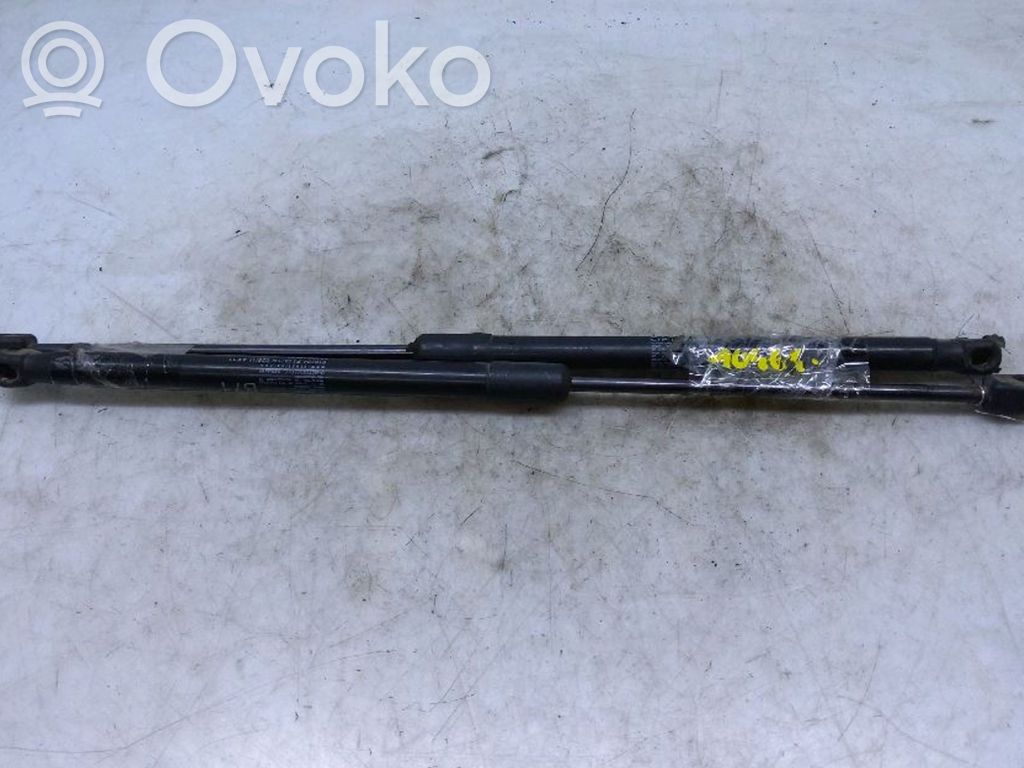 Citroen C4 II Tailgate/trunk strut/damper 