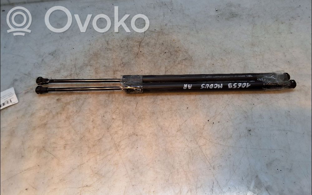 Tailgate/trunk strut/damper   8200219322