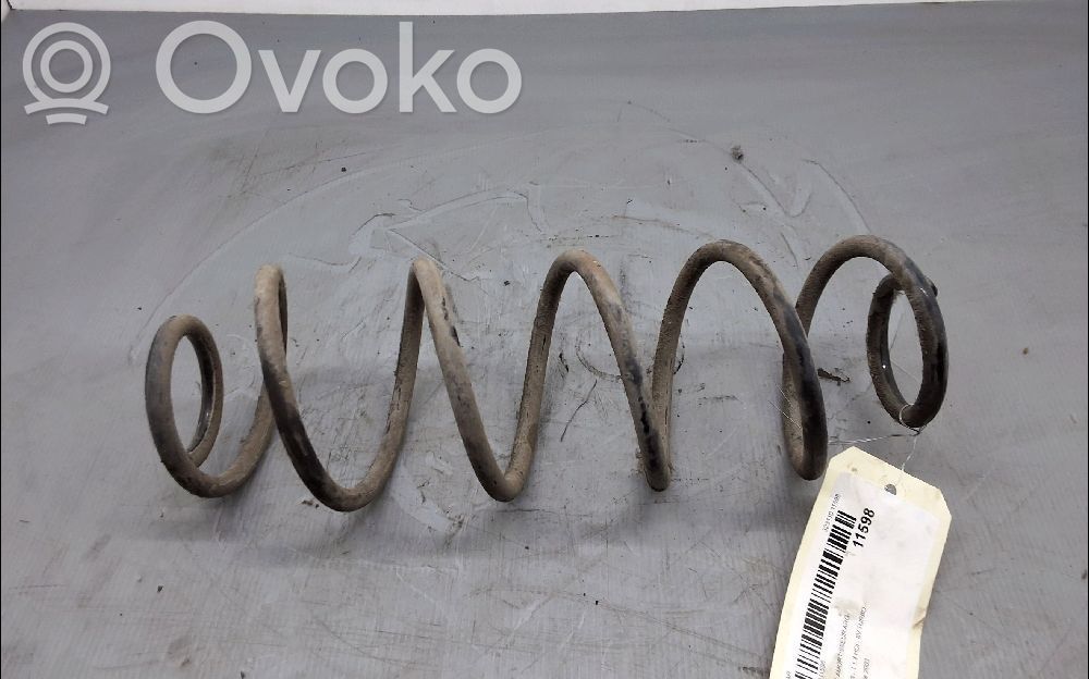 Rear coil spring