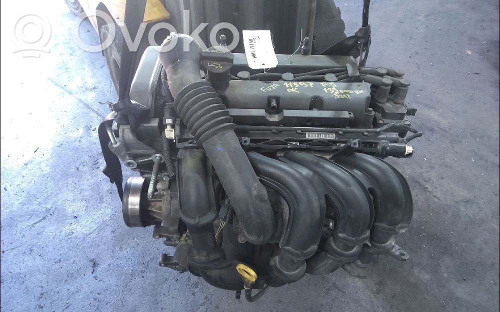 Ford Fiesta Variklis 