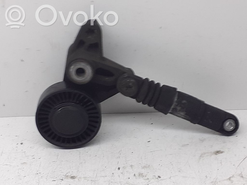 Audi Q7 4L Generator/alternator belt tensioner 