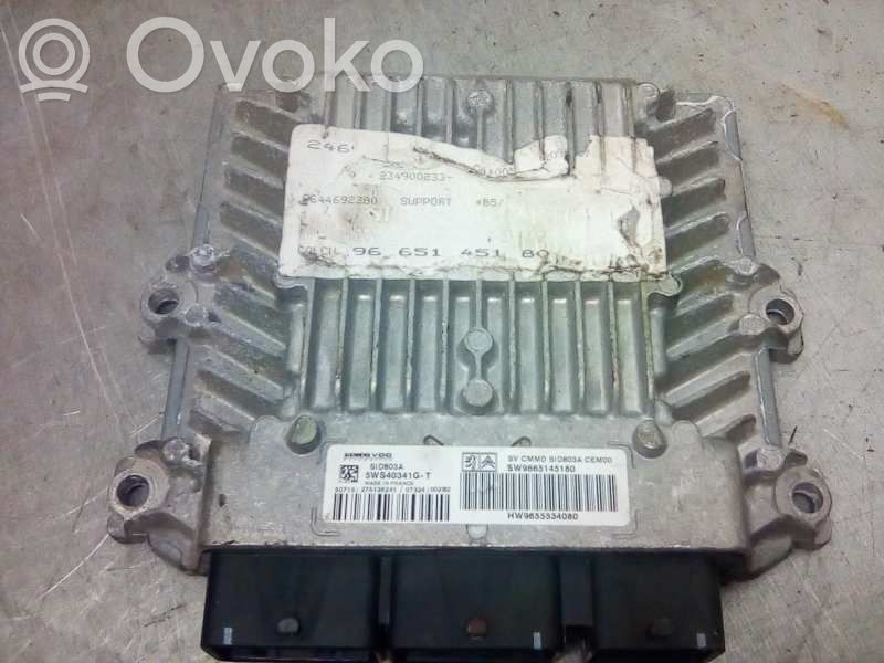 Citroen C4 I Sterownik / Moduł ECU 