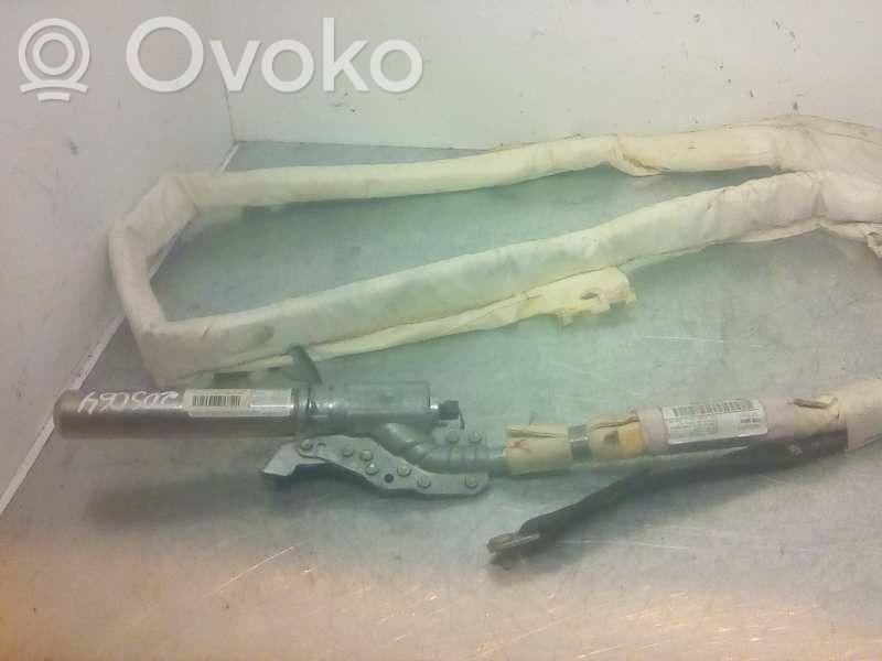Airbag del techo   847011013056