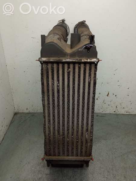 Ford Transit -  Tourneo Connect Radiador intercooler 