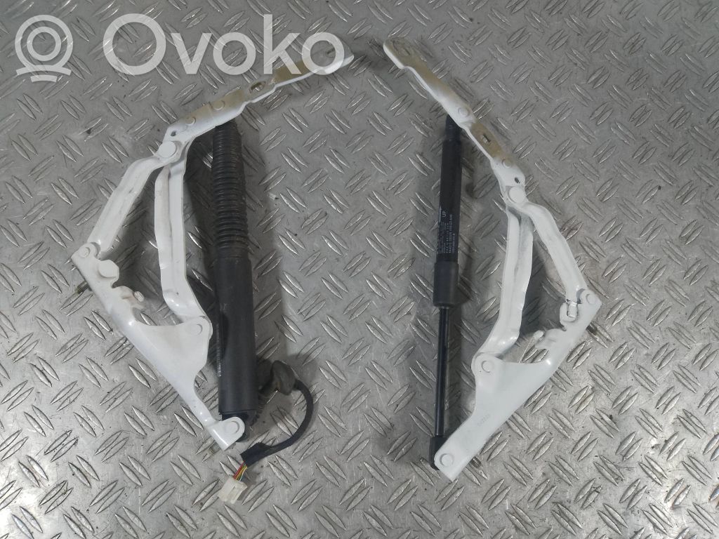 Tesla Model 3 Aizmugurējā pārsega eņģe (-ess) 