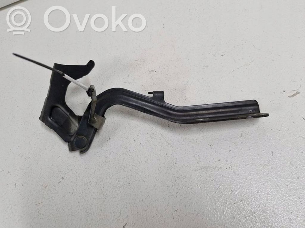 Nissan Juke I F15 Engine bonnet/hood hinges 