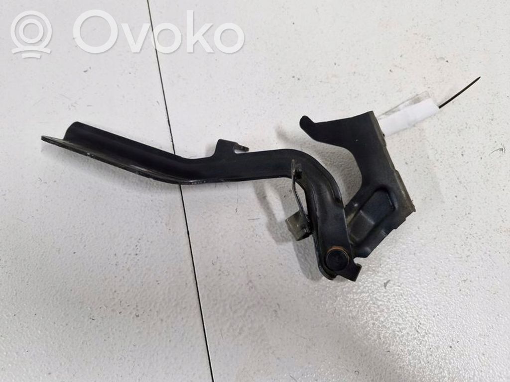 Nissan Juke I F15 Engine bonnet/hood hinges 