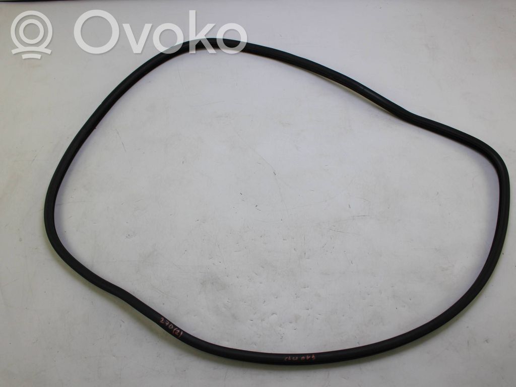 BMW 5 F10 F11 Front door rubber seal 
