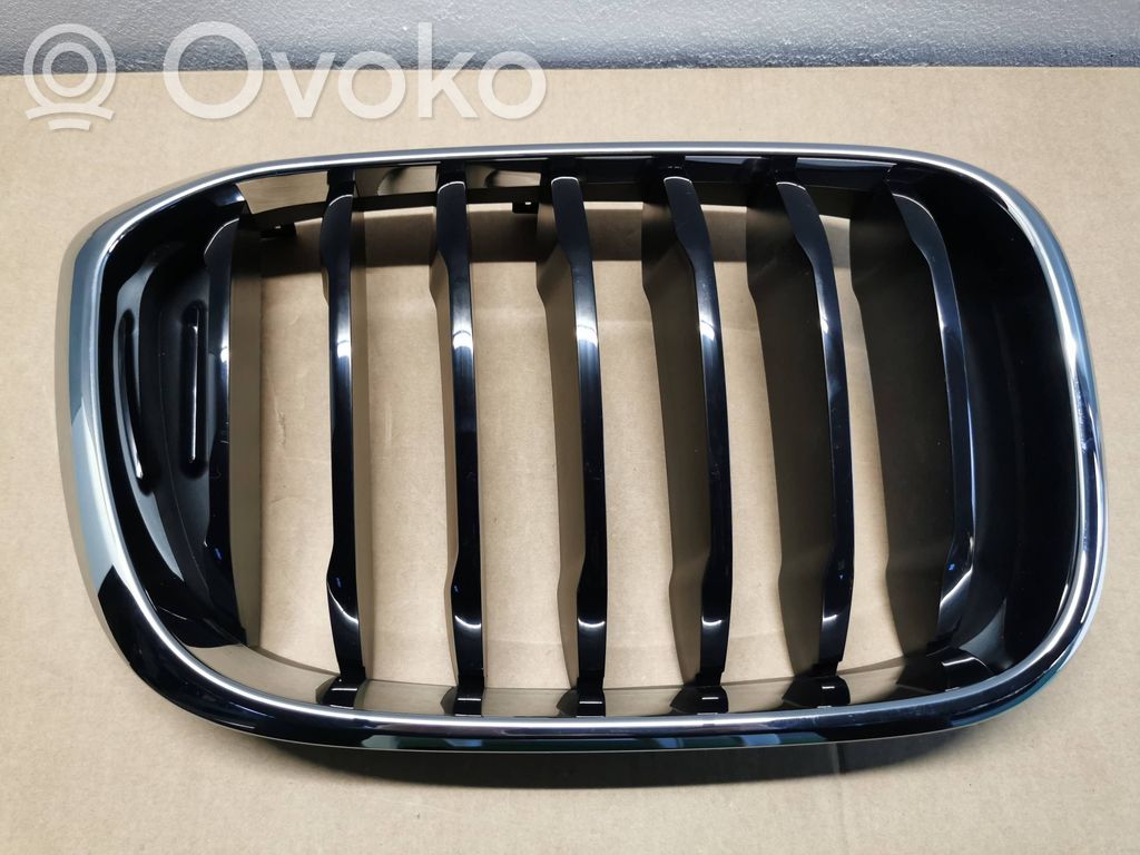 BMW X3 G01 Grilă radiator față 
