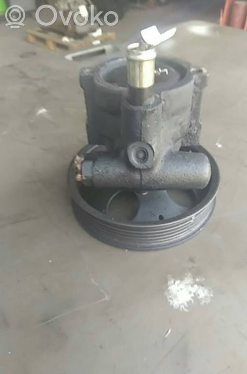 Ohjaustehostimen pumppu   26025012