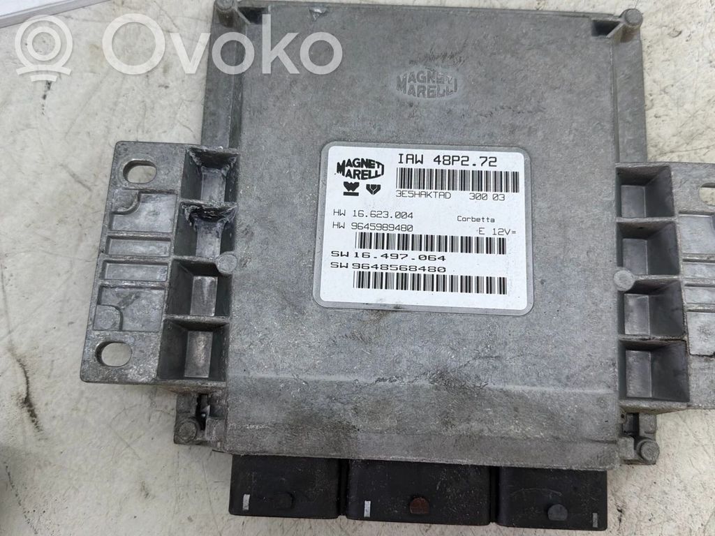Unidad de control/módulo del motor   IAW48P272