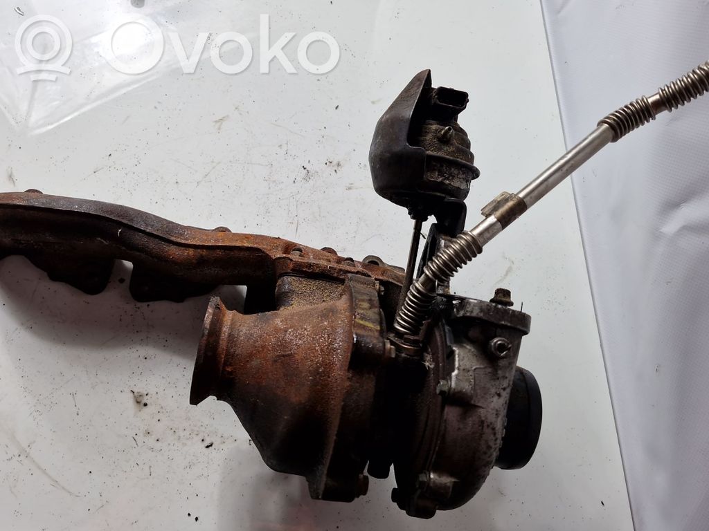 Turbo   55570748