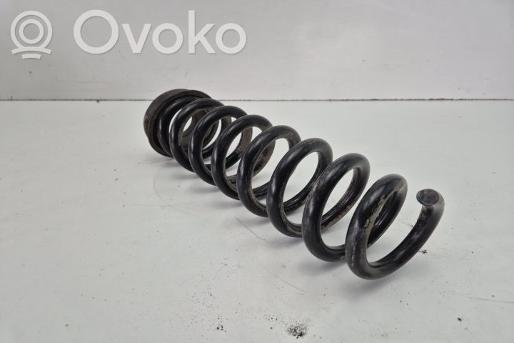 Feder hinten   3353676441903