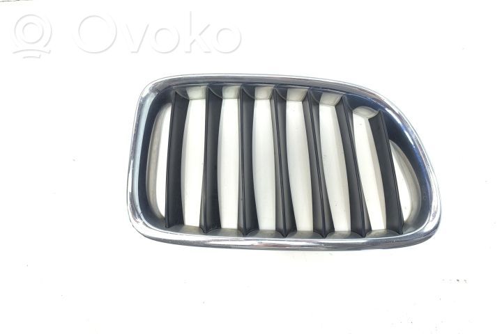 Etusumuvalon ritilä   10627110